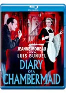 Diary of a Chambermaid 