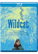 Wildcat (Maya Hawke)