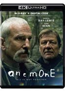 Anemone
