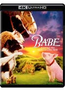 Babe