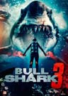 Bull Shark 3