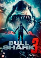 Bull Shark 3