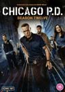 Chicago P.D.: Season 12  (5-disc)