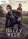 Harry Wild: Series 4 (2-disc)