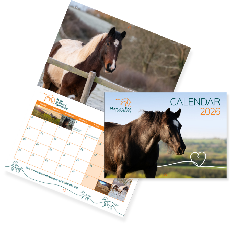 Free 2026 Wall Calendar