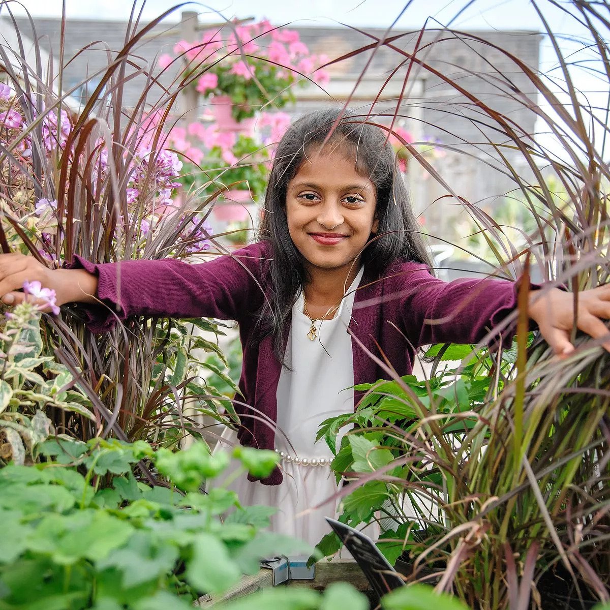 Free Dobbies Autumn Workshop