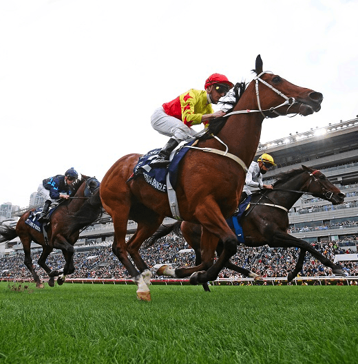 Free Horse Racing Tickets