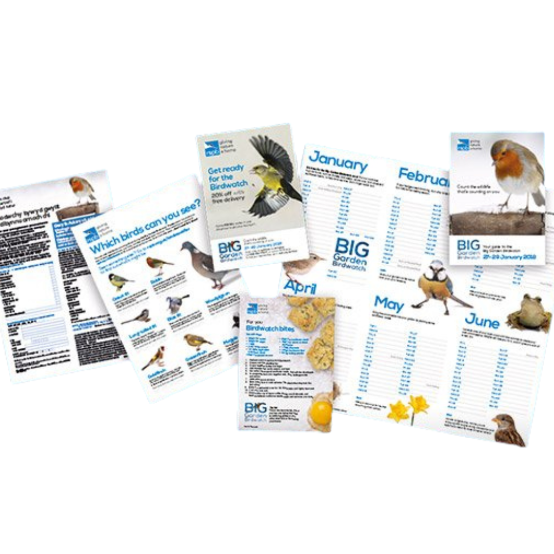 Free RSPB Bird Watching Pack