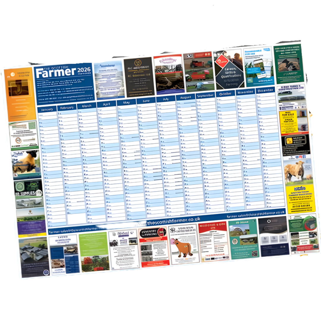 Free 2026 Wall Planner