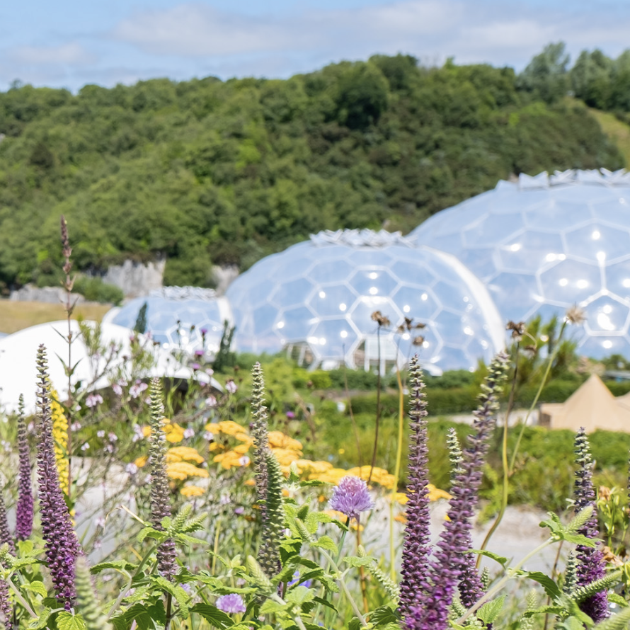 Free National Trust Pass, Eden Project Tickets & More