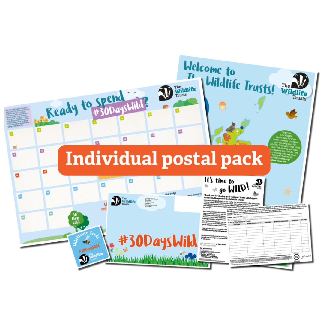 Free Basil, Parsley & Flower Seeds Pack