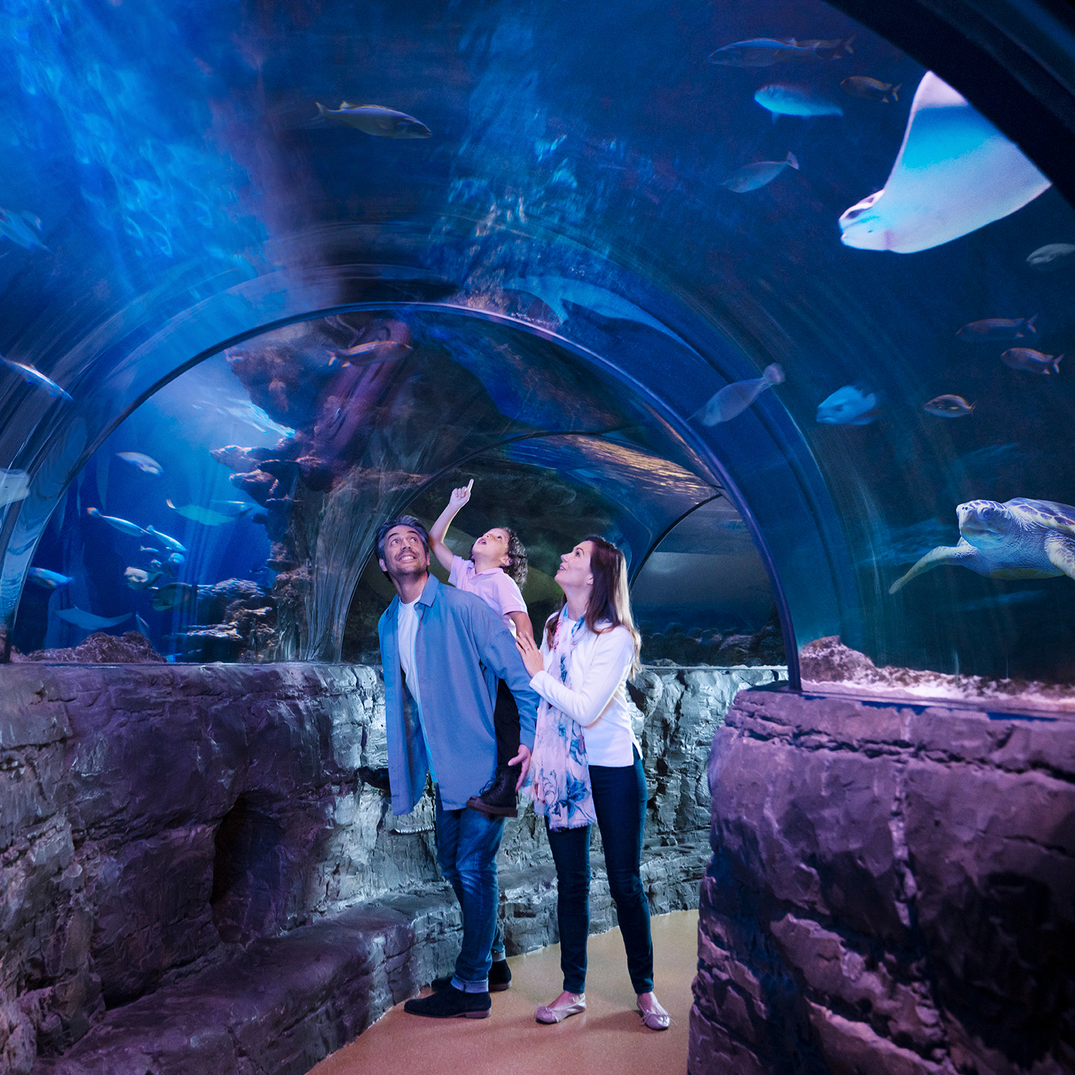 Win 4 SeaLife Aquarium Tickets