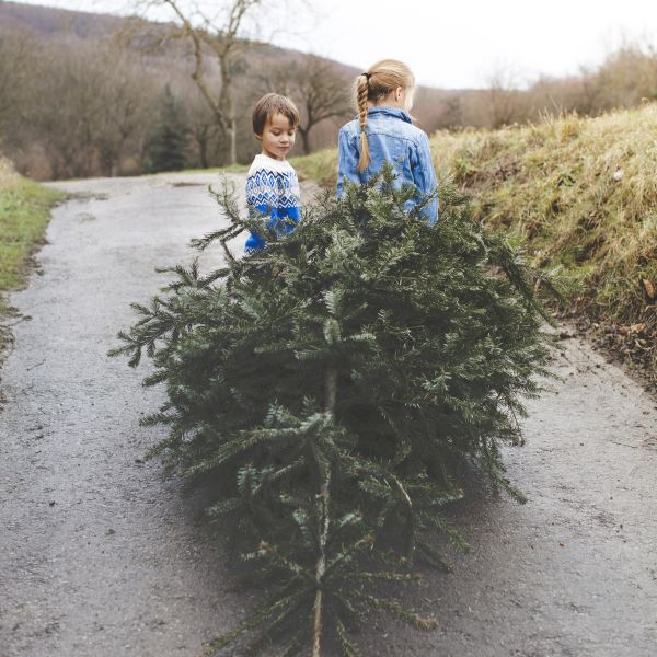 Free Dobbies Children’s Garden Workshop