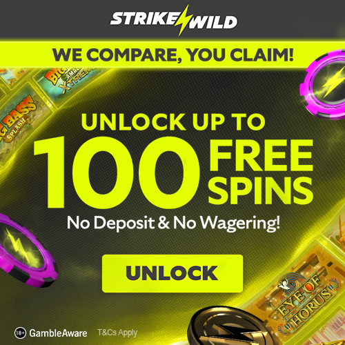 100 Free Spins