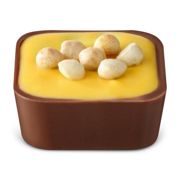 Free Hotel Chocolat Chocolate