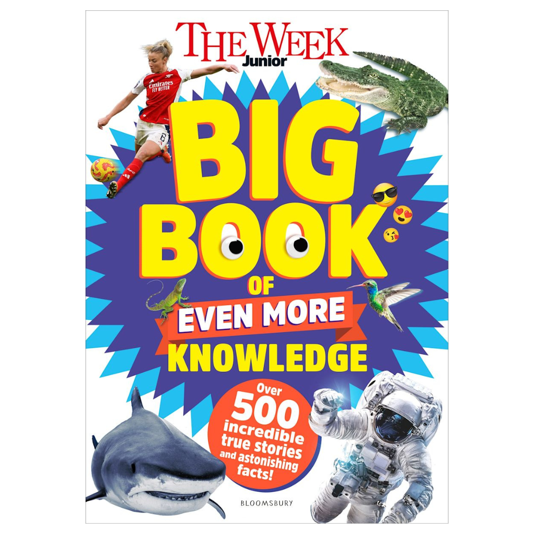 Free Childrens Knowledge & Puzzle Books