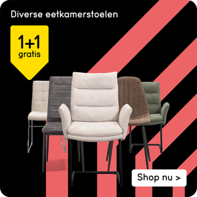 Diverse eetkamerstoelen 1+1 gratis