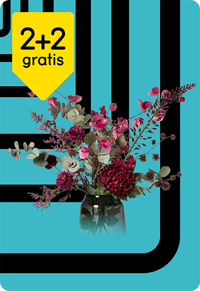 Alle kunst- en droogbloemen 2+2 gratis