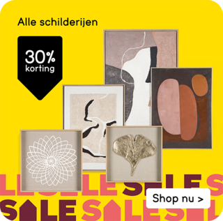 Alle schilderijen 30% korting