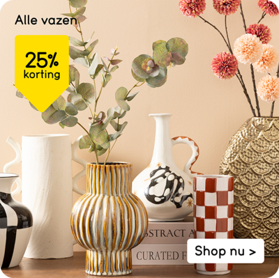 Alle vazen 25% korting