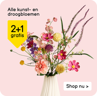 Alle kunst- en droogbloemen 2+1 gratis