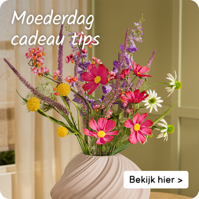 Moederdag cadeau tips