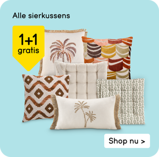 Alle sierkussens 1+1 gratis