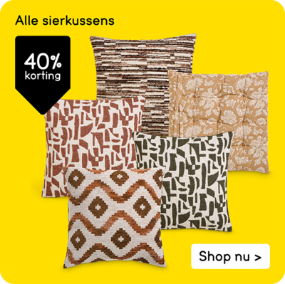 Alle sierkussens 40% korting