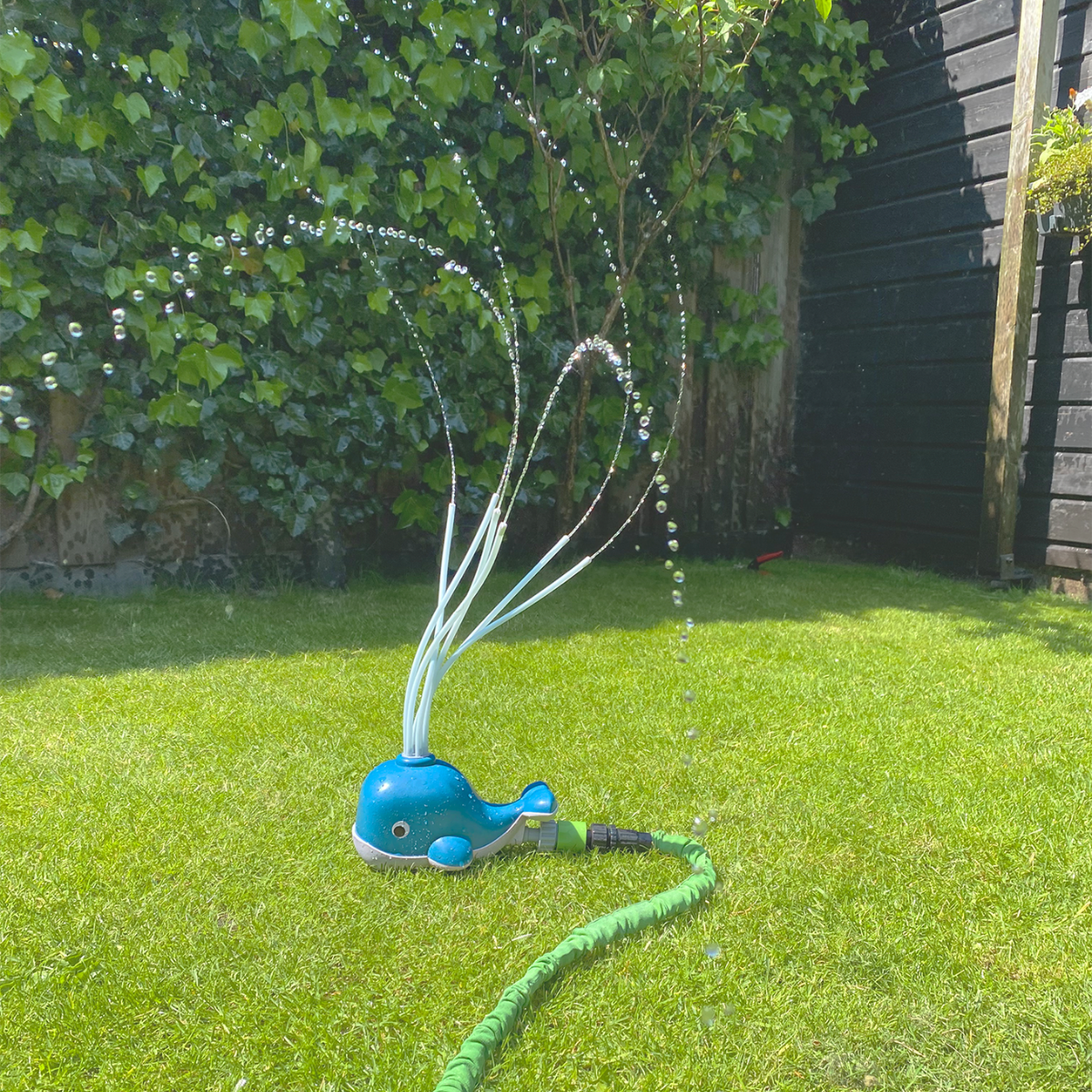 Image of Vannlek - Hval