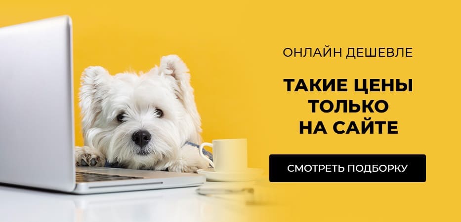 Снизили цену только на сайте