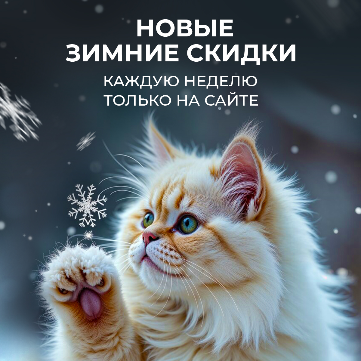 Эти скидки – только на сайте