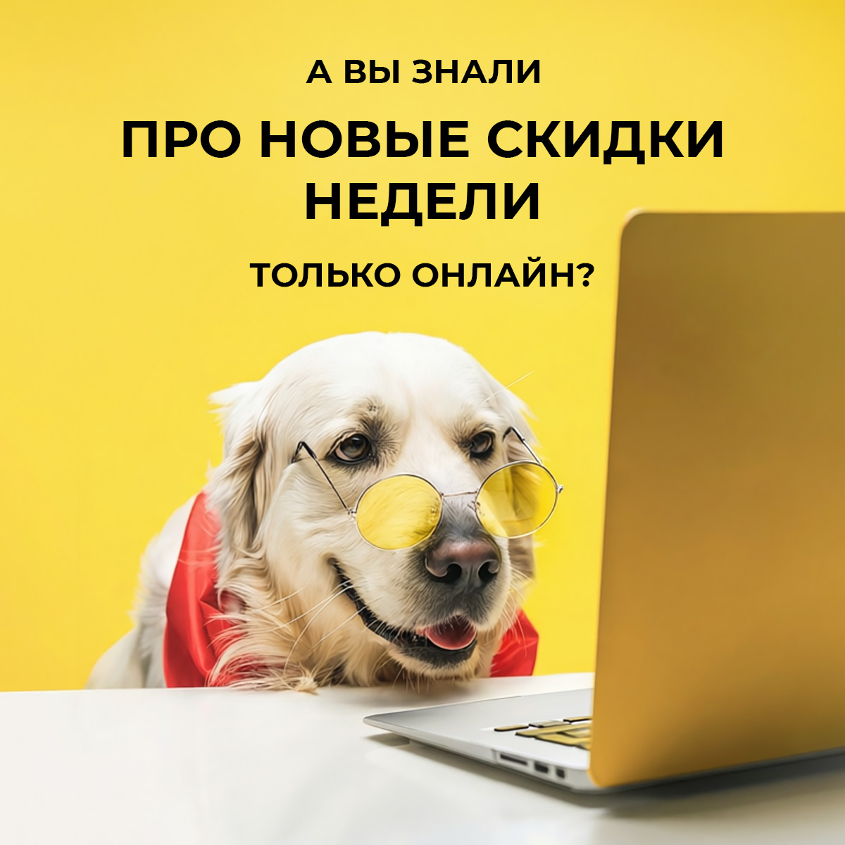 Эти скидки – только на сайте