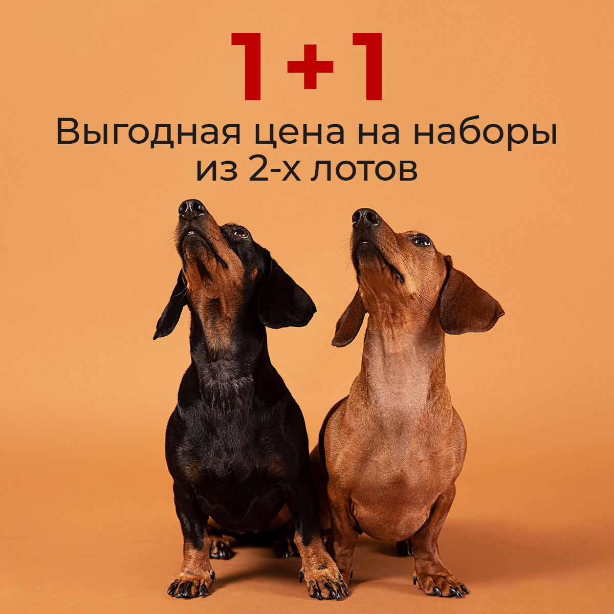 1+1: выгодная цена из наборы из 2-х лотов