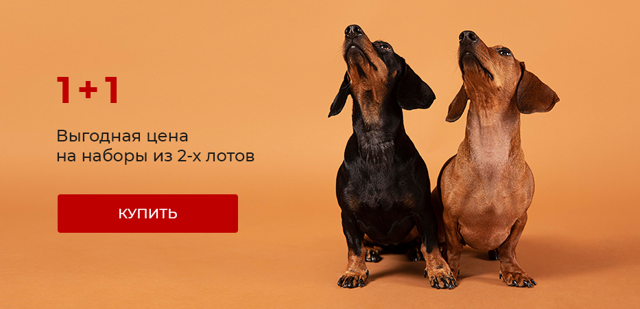 1+1: выгодная цена на наборы из 2-х лотов
