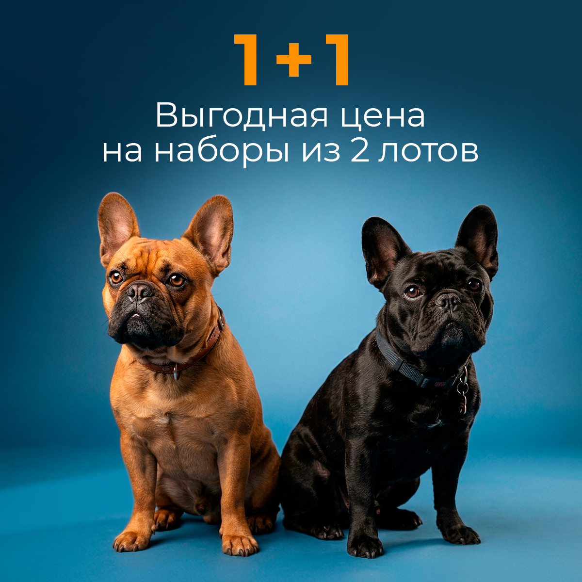 1+1: выгодная цена из наборы из 2-х лотов