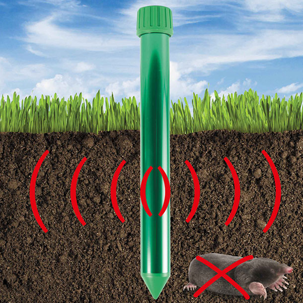 Délogez les taupes de votre jardin