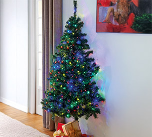 Sapin magic gain de place - L'Homme Moderne