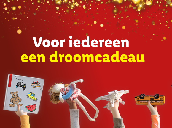 In de webshop van Lidl vindt iedereen een droomcadeau