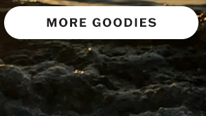 Up to 40% off more goodies sale items.