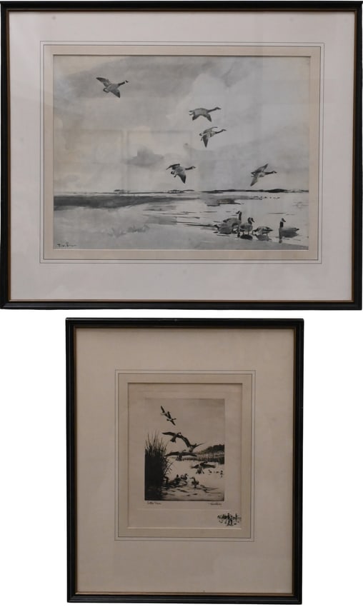 Three Framed Bird Prints