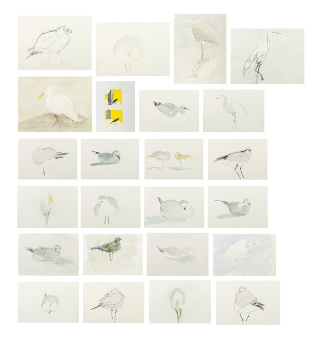 Judy Kitzman Studies of Birds Mixed Media, 25