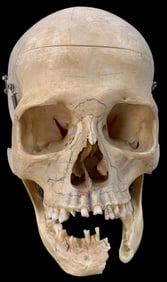 Vintage Christmas & All Things Unusual