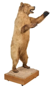 The Texas Ranch Auction