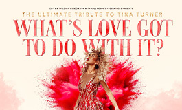 What's Love Got To Do With It?