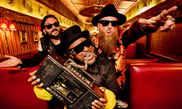 Skindred