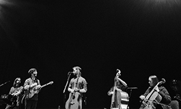 Ye Vagabonds