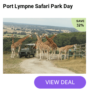 Save 27% on a day entry ticket to Port Lympne Reserve, including a Safari Truck ride through the reserve - Home to over 700 animals across 600 acres in Kent & part of the Howletts Wild Animal Trust, dedicated to wildlife conservation and breeding endangered species