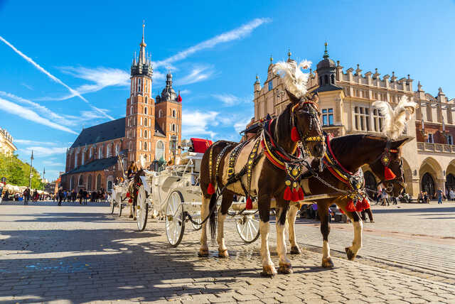 Central Krakow: Auschwitz Tour & Flights