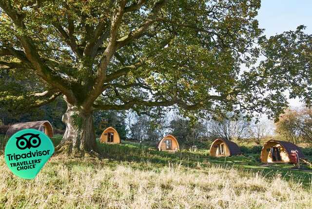 4* Forest of Dean Glamping for 4