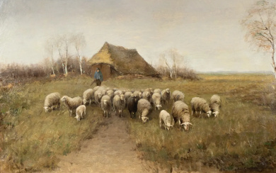 please allow images in the email